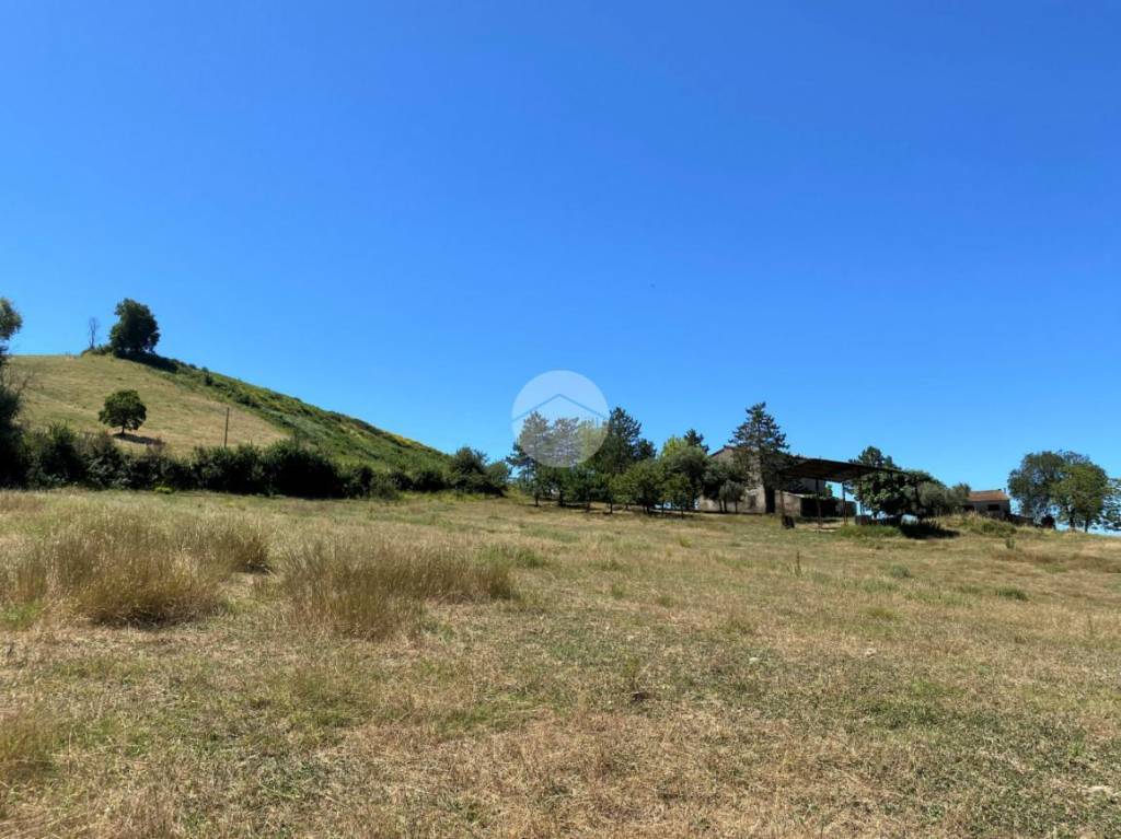 terreno agricolo in vendita a Montebuono in zona Fianello