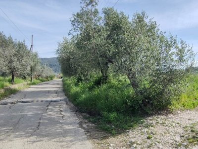 rudere in vendita a Montebuono