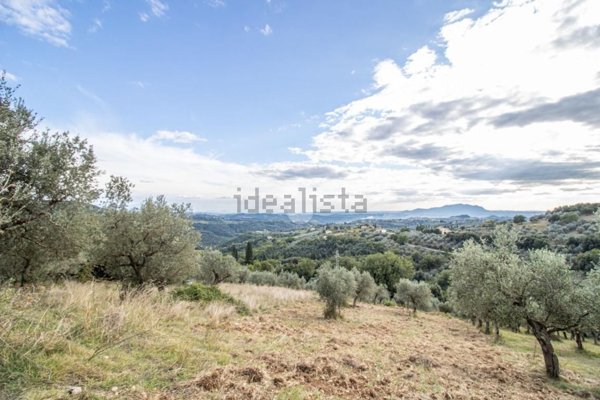 terreno agricolo in vendita a Montebuono