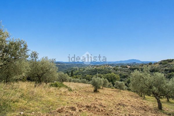 terreno agricolo in vendita a Montebuono