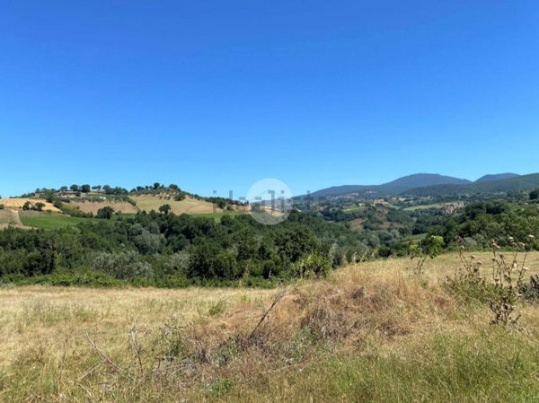 terreno agricolo in vendita a Montebuono in zona Fianello