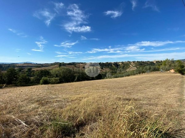 terreno agricolo in vendita a Montebuono