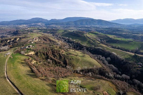 azienda agricola in vendita a Montebuono