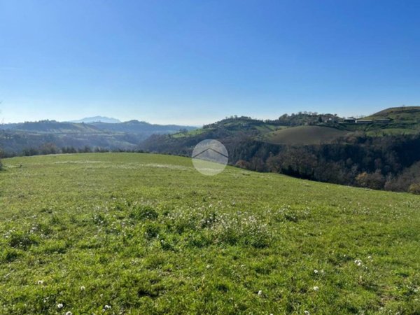 terreno agricolo in vendita a Montebuono