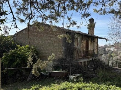 appartamento in vendita a Montebuono