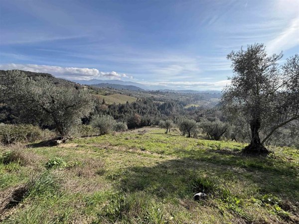 terreno edificabile in vendita a Montebuono