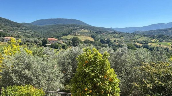 appartamento in vendita a Montebuono
