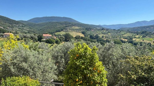 appartamento in vendita a Montebuono