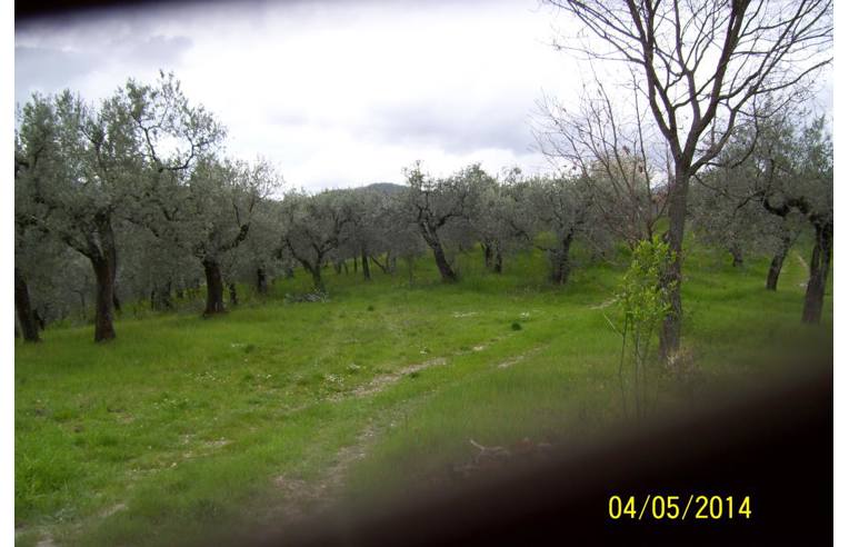 rudere in vendita a Monteleone Sabino in zona Ginestra Sabina