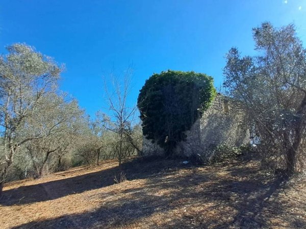 casa indipendente in vendita a Monteleone Sabino