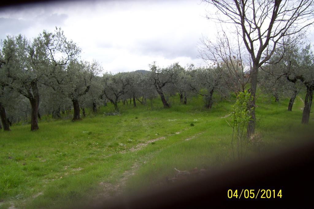 rudere in vendita a Monteleone Sabino in zona Ginestra Sabina