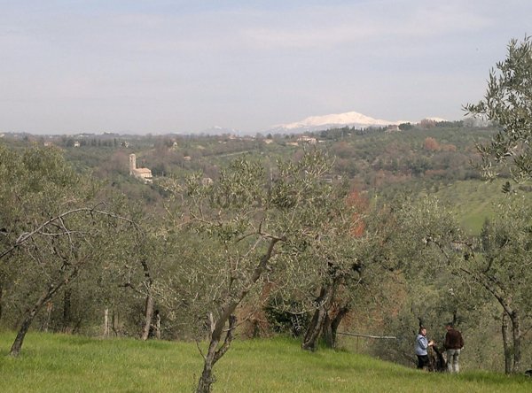 casa indipendente in vendita a Monteleone Sabino