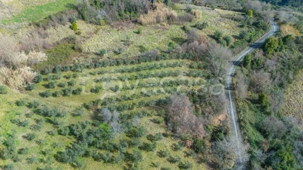 terreno agricolo in vendita a Montenero Sabino