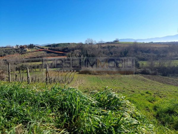 terreno agricolo in vendita a Montopoli di Sabina