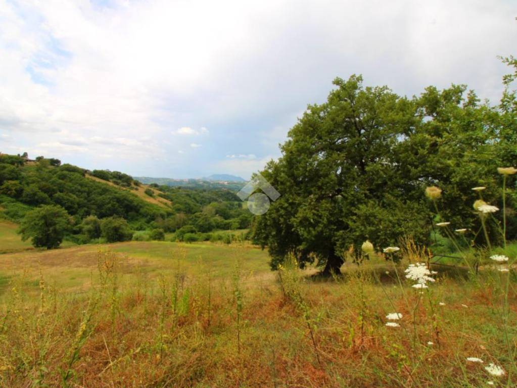 terreno agricolo in vendita a Montopoli di Sabina in zona Granari