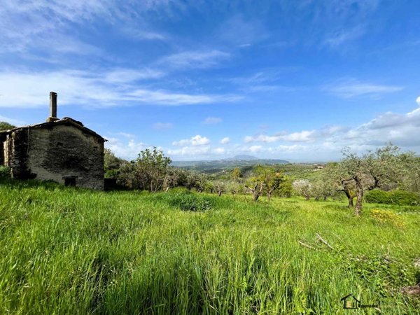 terreno agricolo in vendita a Montopoli di Sabina