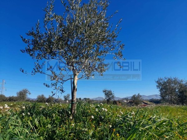 terreno agricolo in vendita a Montopoli di Sabina