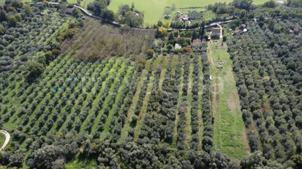 terreno agricolo in vendita a Montopoli di Sabina in zona Santa Maria