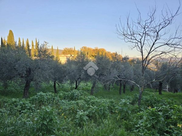 terreno agricolo in vendita a Montopoli di Sabina