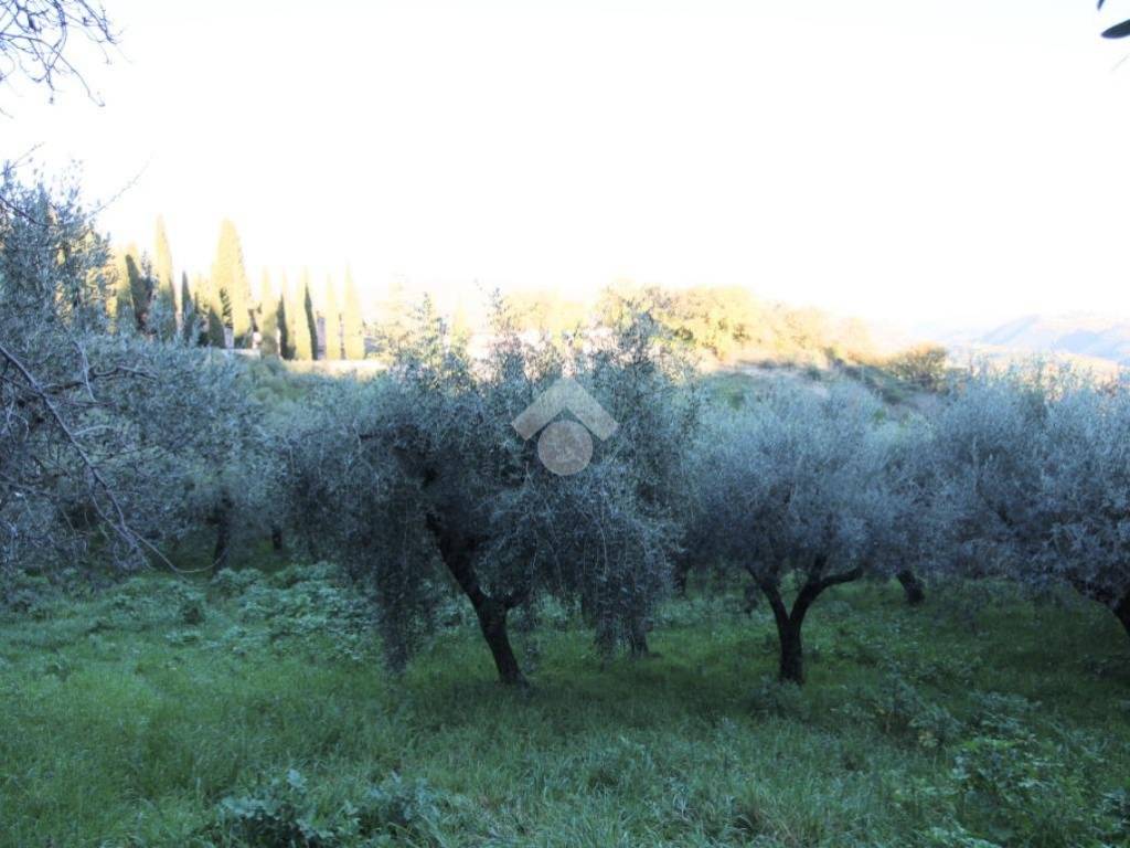 terreno agricolo in vendita a Montopoli di Sabina