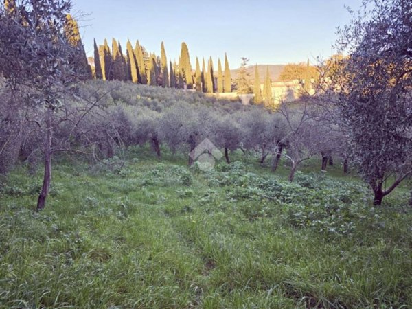 terreno agricolo in vendita a Montopoli di Sabina
