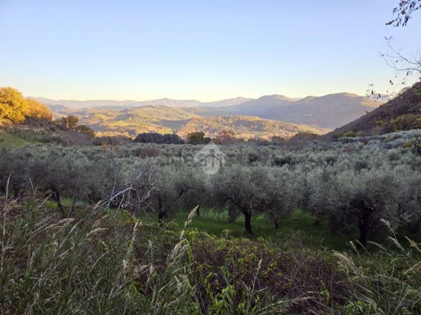 terreno agricolo in vendita a Montopoli di Sabina
