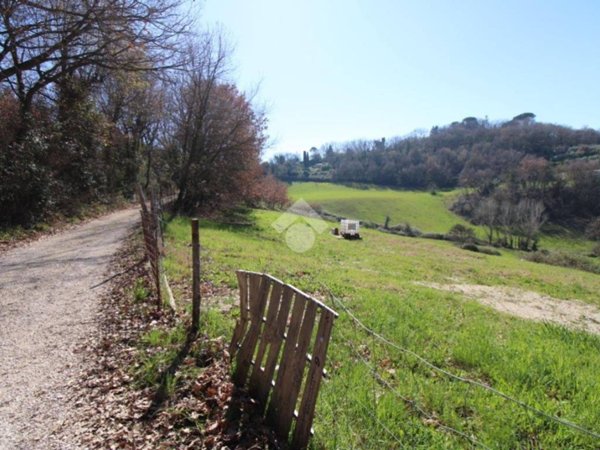 terreno agricolo in vendita a Montopoli di Sabina in zona Granari