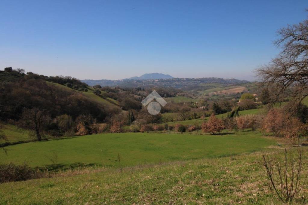 terreno agricolo in vendita a Montopoli di Sabina in zona Granari