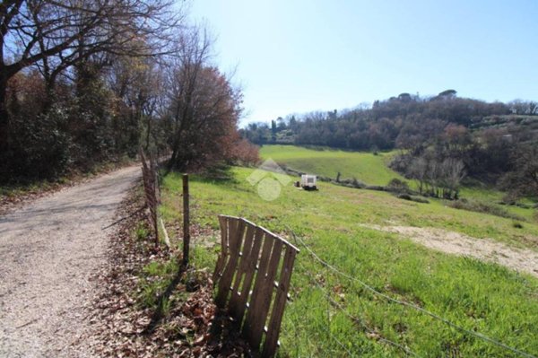 terreno agricolo in vendita a Montopoli di Sabina in zona Granari