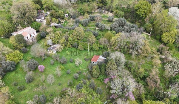 casa indipendente in vendita a Montopoli di Sabina in zona Bocchignano
