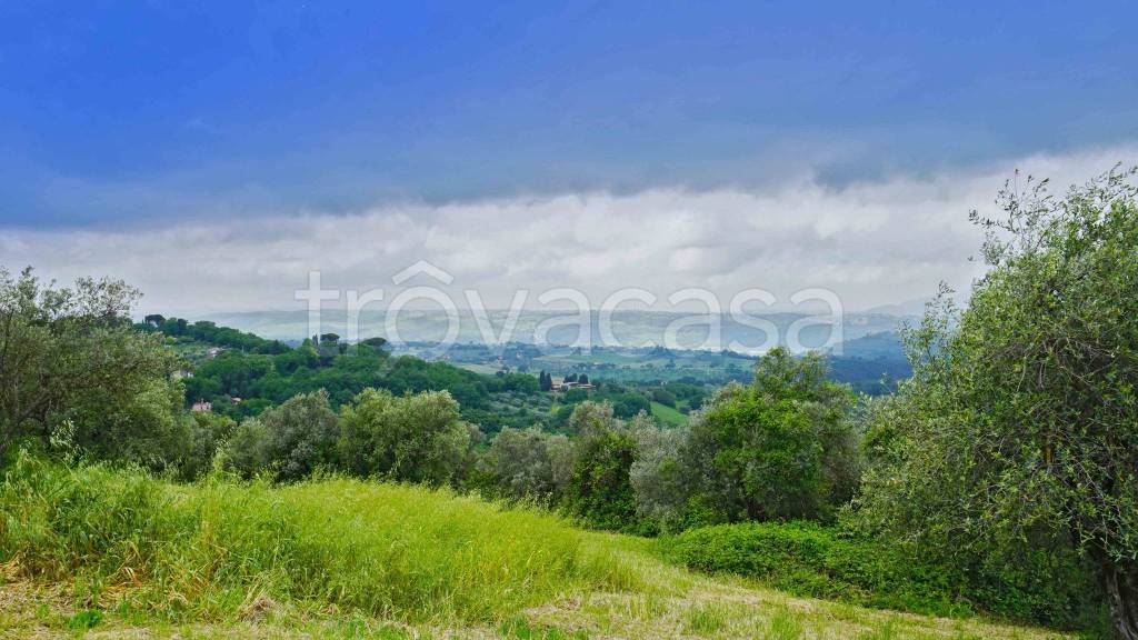 terreno agricolo in vendita a Montopoli di Sabina in zona Granari