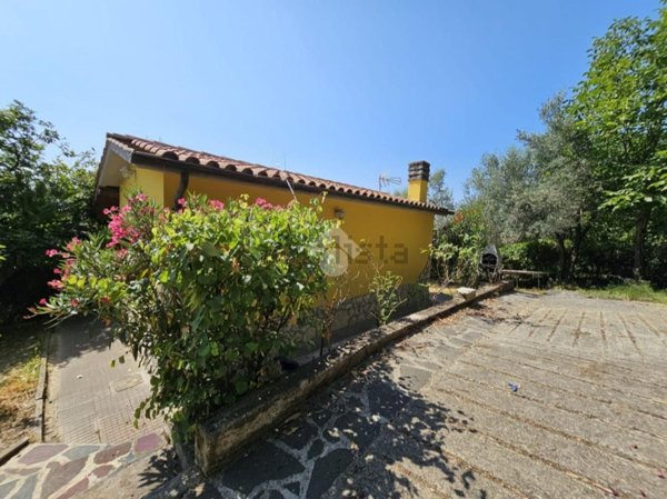 immagine annuncio 0 di 15