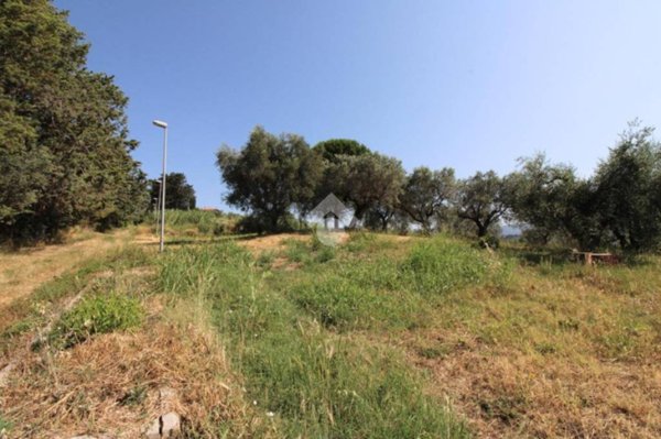 terreno agricolo in vendita a Montopoli di Sabina in zona Granari