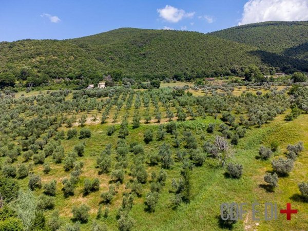 terreno agricolo in vendita a Montopoli di Sabina