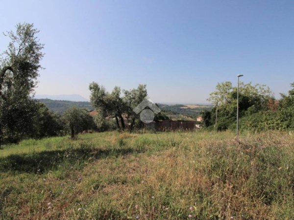 terreno agricolo in vendita a Montopoli di Sabina in zona Granari
