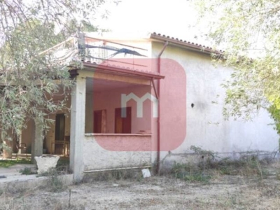 casa indipendente in vendita a Montopoli di Sabina