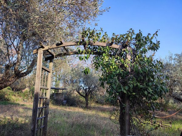 terreno agricolo in vendita a Montopoli di Sabina