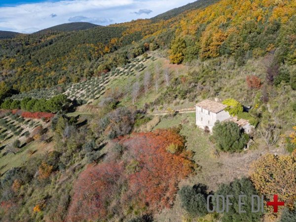 casa indipendente in vendita a Montopoli di Sabina