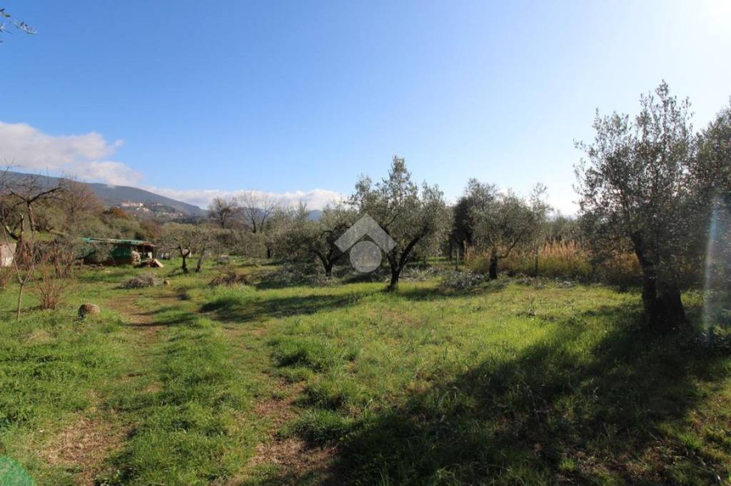 terreno agricolo in vendita a Montopoli di Sabina