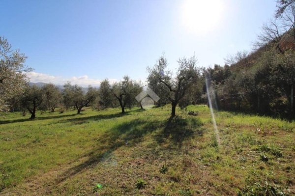 terreno agricolo in vendita a Montopoli di Sabina