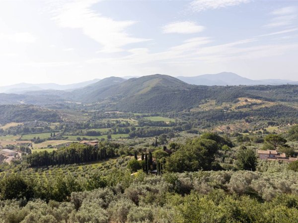 appartamento in vendita a Montopoli di Sabina