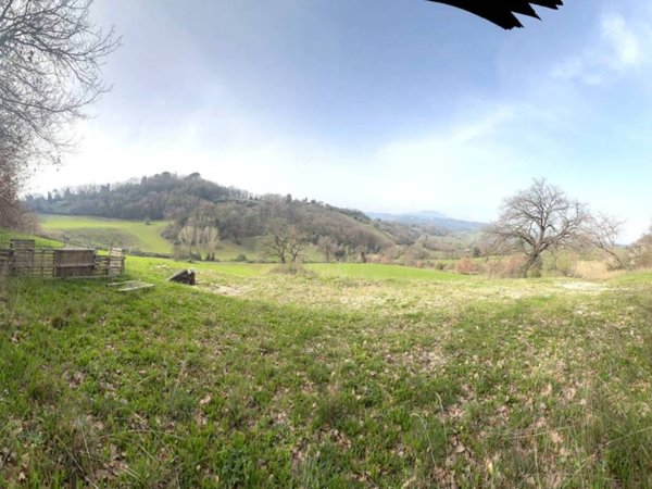 terreno agricolo in vendita a Montopoli di Sabina