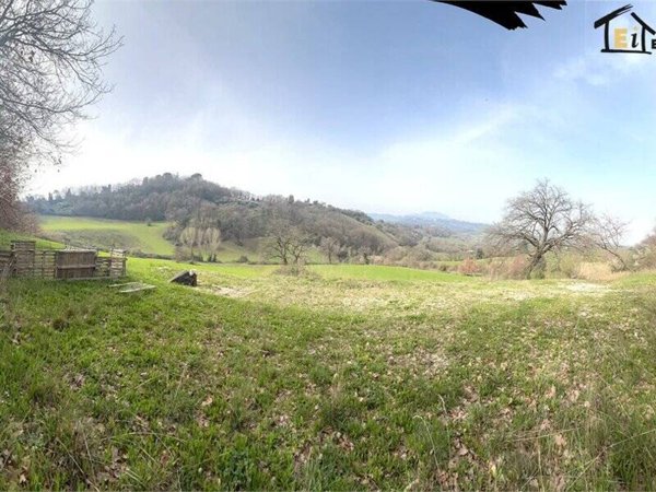 terreno agricolo in vendita a Montopoli di Sabina
