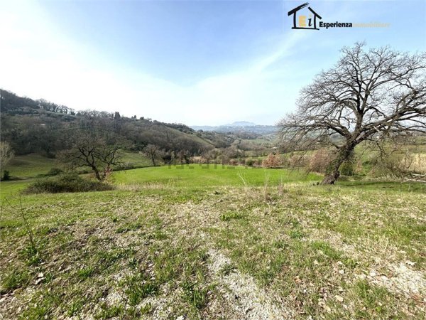 terreno agricolo in vendita a Montopoli di Sabina