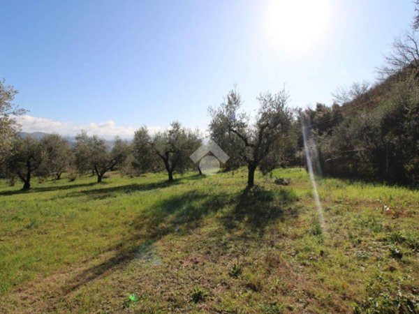 terreno agricolo in vendita a Montopoli di Sabina
