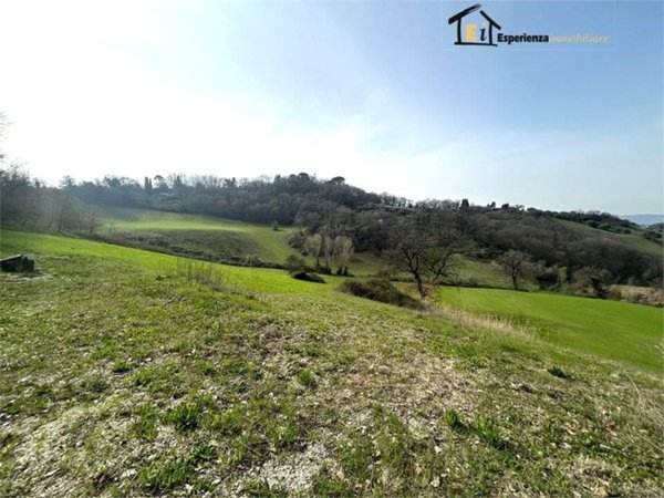 ufficio in vendita a Montopoli di Sabina