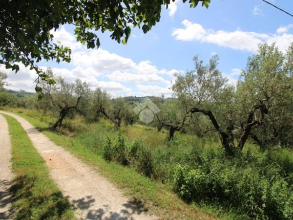 terreno agricolo in vendita a Montopoli di Sabina