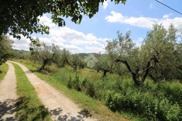 azienda agricola in vendita a Montopoli di Sabina