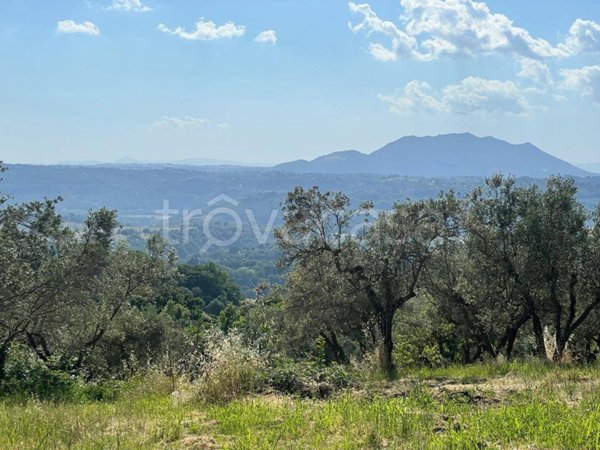 terreno agricolo in vendita a Montopoli di Sabina in zona Case Nuove