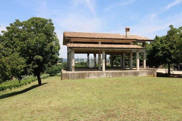 pentavano in vendita a Montopoli di Sabina in zona Ponte Sfondato